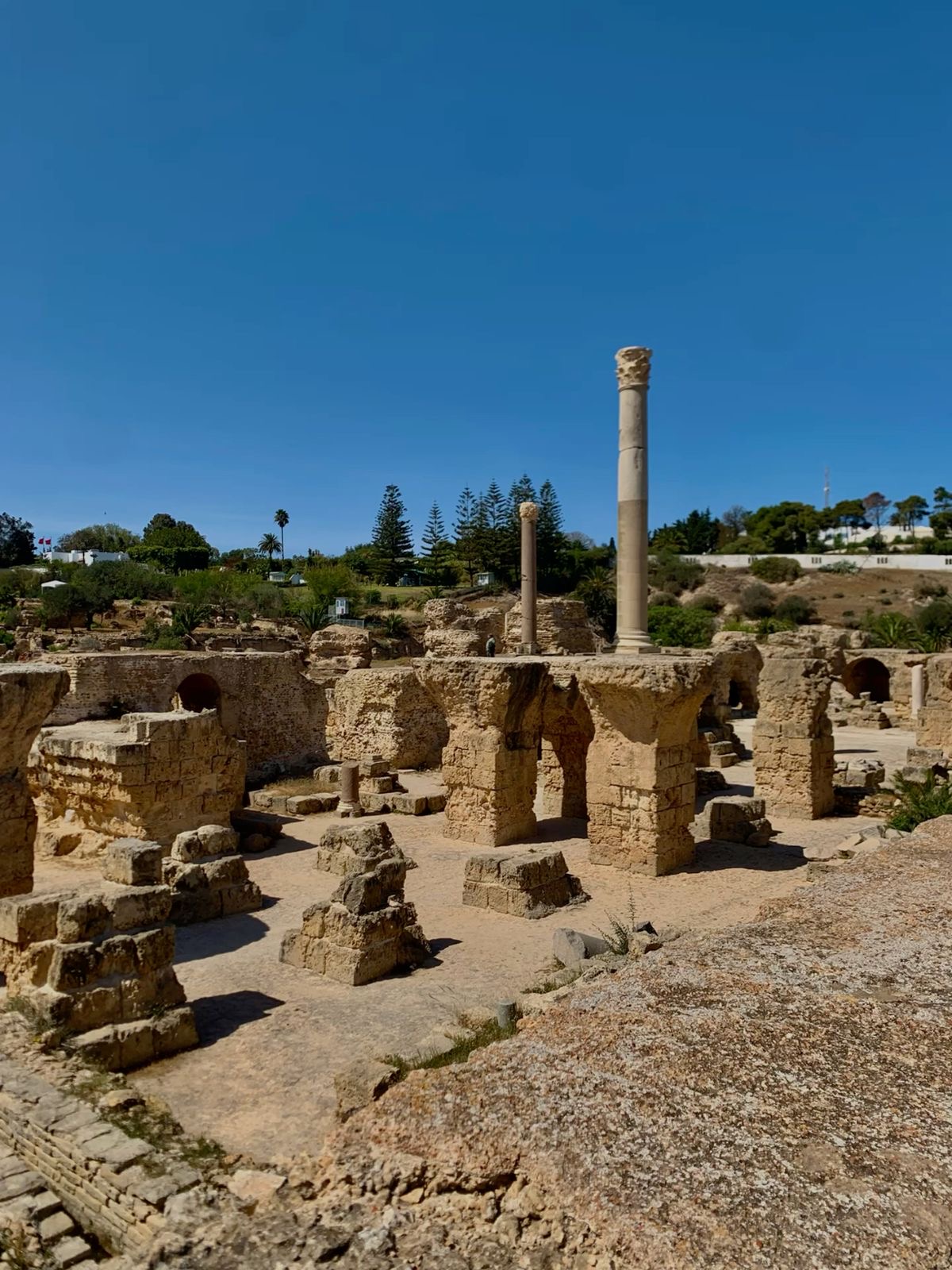 Tunis, Carthage & Sidi Bou Said Tour — photo 8