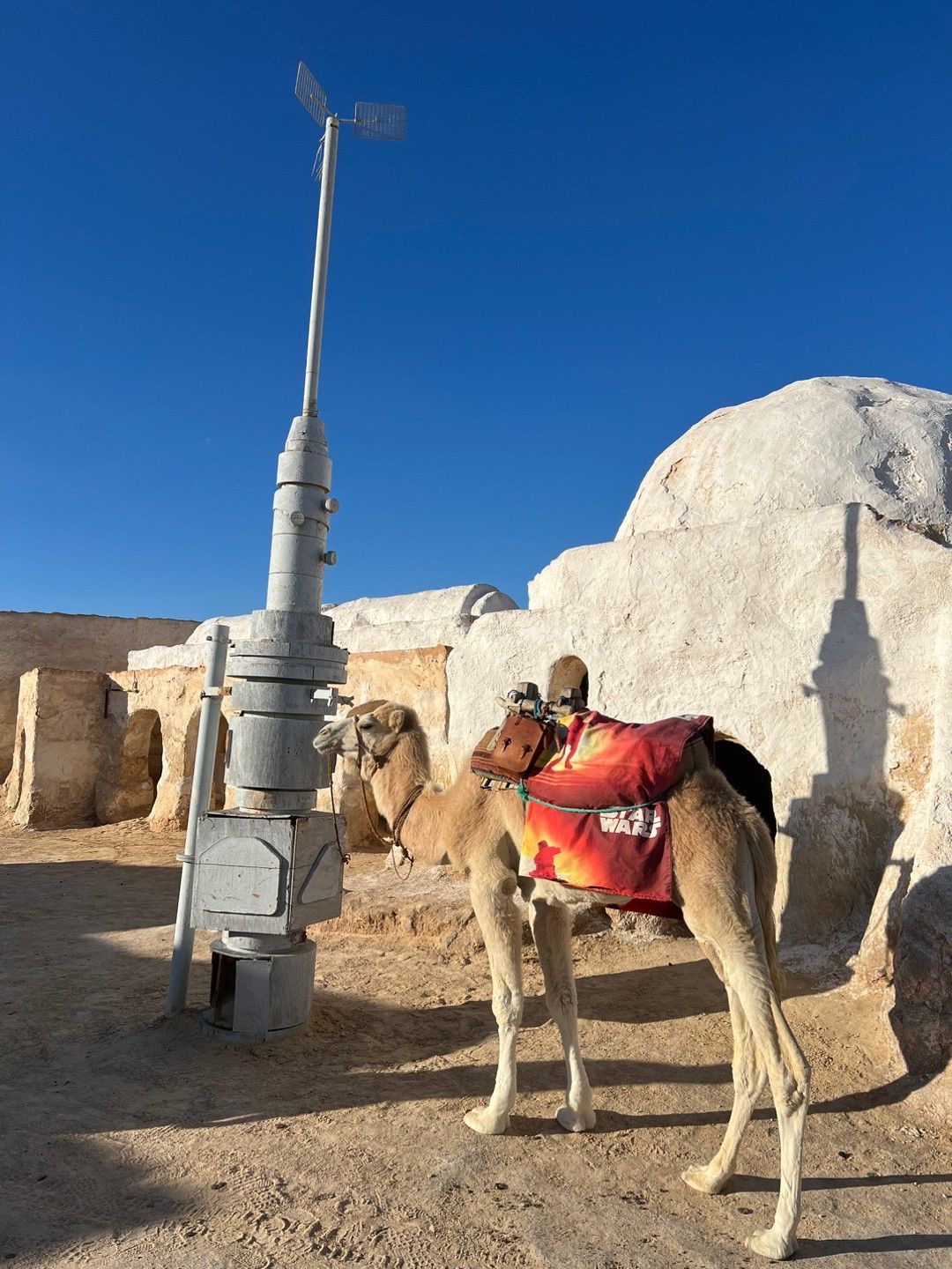 Sahara VIP Adventure — photo 9