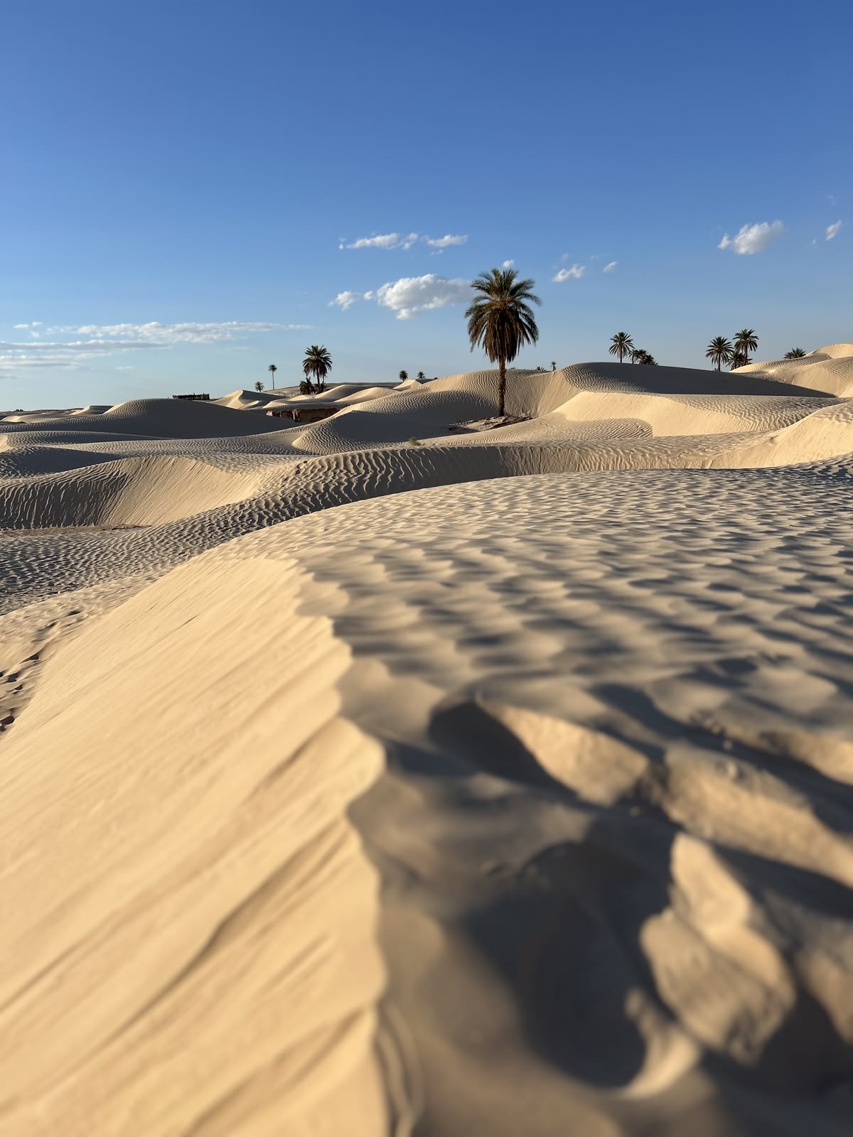 Sahara VIP Adventure — photo 1