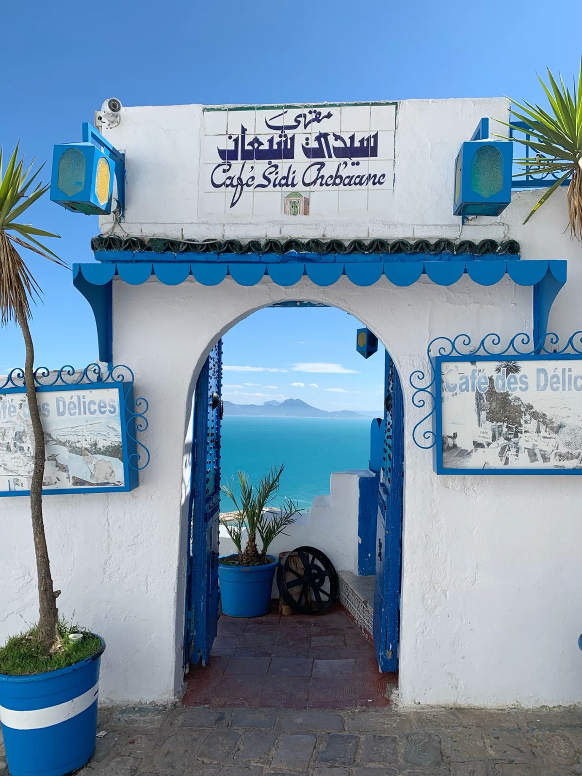 Tunis, Carthage & Sidi Bou Said Tour — photo 2
